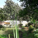 Gambar WhatsApp 2025-02-15 pukul 08.55.27_08795896