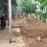 Untitled (1600 x 747 px) (1600 x 720 px) (10)