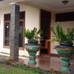 Untitled (1600 x 747 px) (1600 x 720 px) (25)