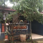 Untitled design (100)