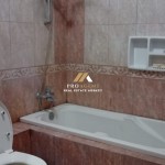 Untitled design - 2024-11-12T133808.720