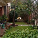 Untitled design - 2024-11-12T133821.759