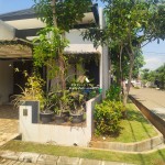 Untitled design - 2025-02-04T141541.638