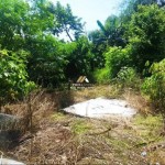 Untitled design - 2025-02-04T145844.088