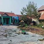 Untitled design - 2025-02-04T145858.676