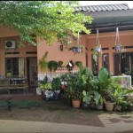 Untitled design - 2025-02-05T105707.008