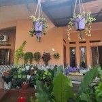 Untitled design - 2025-02-05T105734.502