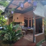 Untitled design - 2025-02-05T105745.753