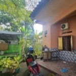 Untitled design - 2025-02-05T105828.695