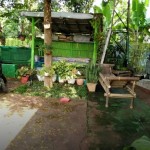 Untitled design - 2025-02-05T105927.322