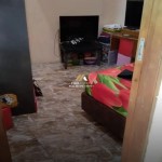 Untitled design - 2025-02-05T110022.534