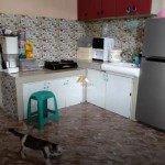 Untitled design - 2025-02-05T110035.163