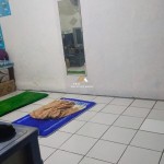 Untitled design - 2025-02-05T111239.575