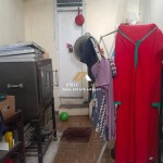 Untitled design - 2025-02-05T111447.233