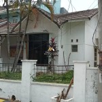 Untitled design - 2025-02-08T143355.566