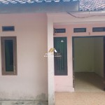 Untitled design - 2025-02-08T143946.065