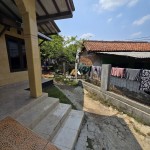 Untitled design - 2025-02-08T145011.307