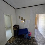 Untitled design - 2025-02-08T145049.695