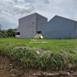 Untitled design - 2025-02-15T155046.502