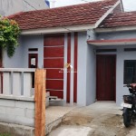 Untitled design - 2025-02-22T115446.077