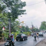 Untitled design (45)