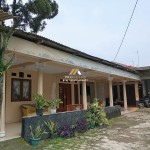 Untitled design (53)