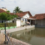 Untitled design (53)