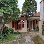 Untitled design (58)