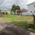 Untitled design (59)