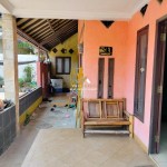 Untitled design (62)