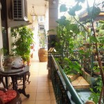 Untitled design (62)