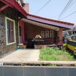 Untitled design (63)