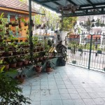 Untitled design (63)