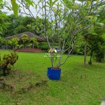 Untitled design (63)