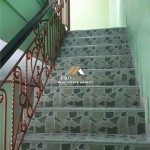 Untitled design (67)