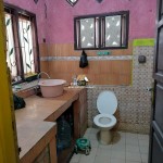 Untitled design (73)