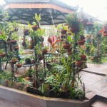 Untitled design (73)