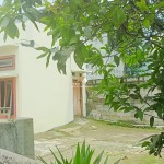 Untitled design (73)