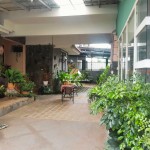 Untitled design (74)