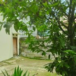 Untitled design (74)