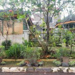 Untitled design (81)