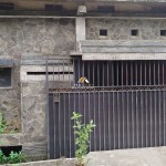 Untitled design (81)