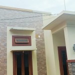 Untitled design (81)