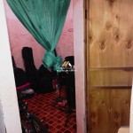 Untitled design (82)