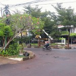 Untitled design (84)