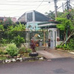 Untitled design (85)