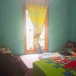 Untitled design (86)