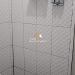 Untitled design (88)