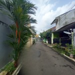 Untitled design (88)