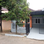 Untitled design (92)